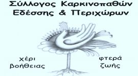 Στήριξη στον Σύλλογο Καρκινοπαθών Έδεσσας για 13χρονη με πρόβλημα υγείας